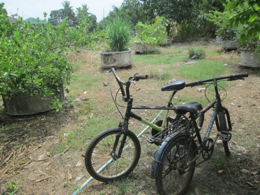 ขายจักรยาน BMX กับจักรยานธรรมดา