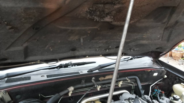 ***ขายแล้วครับขอบคุณ Truck2hand ขายกระบะดราก้อนอายแค็ปสวยๆบางๆ เดิมจัด ISUZU SPACECAB 2.5SX DRAGONEYE ปี45/02 เครื่องเดิมเกียร์ แรงดี แห้งจัดไม่มีเยิ้ม เกียร์ไม่มีหลุดไม่มีหอน ช่วงล่างหนึบ ไม่ส่าย คัสซีสวยเดิมไม่มีผุ ไม่มีดาม กระบะสวยมีพื้นปูกระบะ หน้า-หล ***ขายแล้วครับขอบคุณ Truck2hand ขายกระบะดราก้อนอายแค็ปสวยๆบางๆ เดิมจัด ISUZU SPACECAB 2.5SX DRAGONEYE ปี45/02 เครื่องเดิมเกียร์ แรงดี แห้งจัดไม่มีเยิ้ม เกียร์ไม่มีหลุดไม่มีหอน ช่วงล่างหนึบ ไม่ส่าย คัสซีสวยเดิมไม่มีผุ ไม่มีดาม กระบะสวยมีพื้นปูกระบะ หน้า-หล