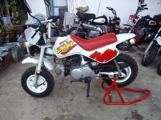 **** ขาย Monkey Baja 1991 ****
