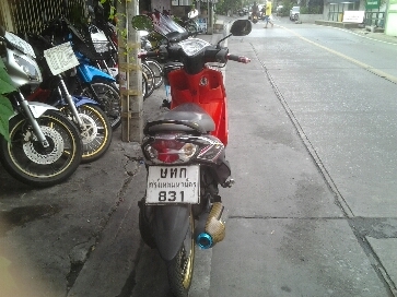 มีโอปี2552