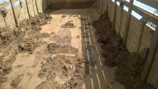 รถอีซูซุ 10 ล้อดั้ม 200 แรงม้า. ปี 48.  สนใจติดต่อ 081 - 6079515