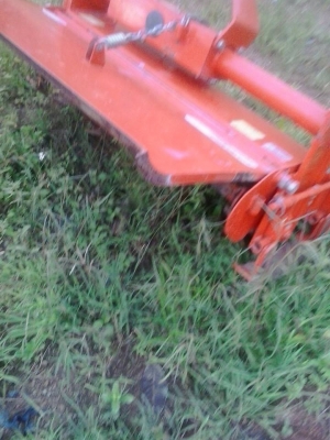 โรตาลี rx100 สวยพร้อมใช้ราคาถูก ไม่ผุใบเต็ม