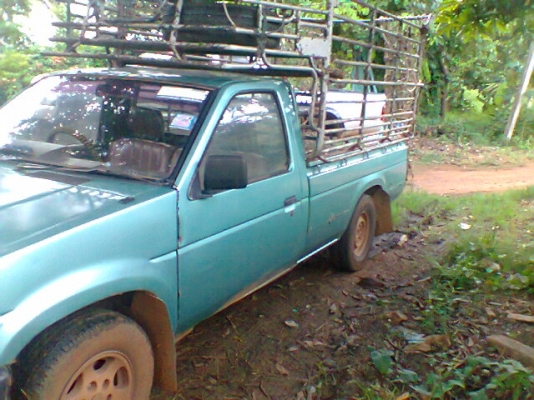 ขายด่วน  มีเล่ม