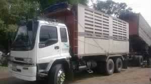 DEGA270ปี48แม่-ลูก