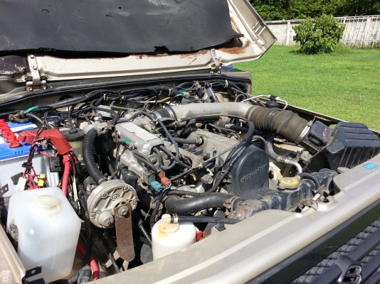 ขายสปอร์ตมายด์