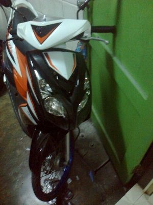 มีโอสองตาแท้ปี52