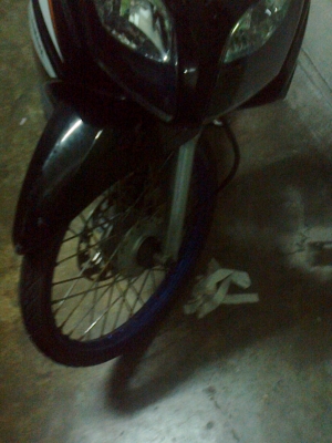 มีโอสองตาแท้ปี52