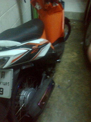 มีโอสองตาแท้ปี52