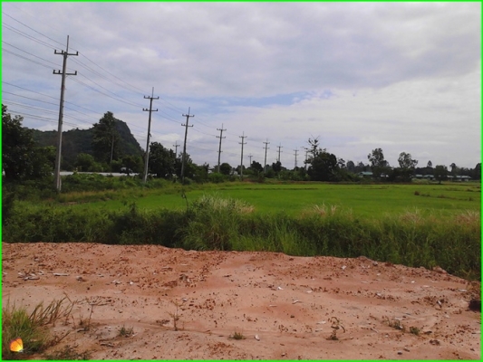 ขาย..ที่ดินที่อุทัยธานี42ไร่กว่าๆ..ติดถนนใหญ่