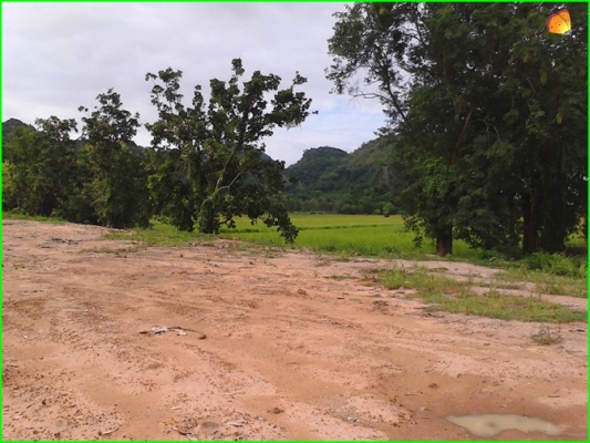 ขาย..ที่ดินที่อุทัยธานี42ไร่กว่าๆ..ติดถนนใหญ่