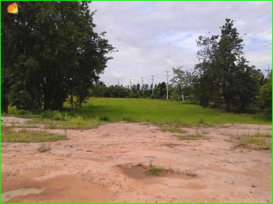 ขาย..ที่ดินที่อุทัยธานี42ไร่กว่าๆ..ติดถนนใหญ่