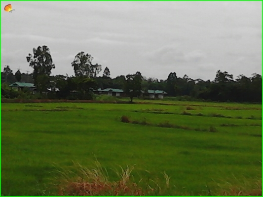 ขาย..ที่ดินที่อุทัยธานี42ไร่กว่าๆ..ติดถนนใหญ่