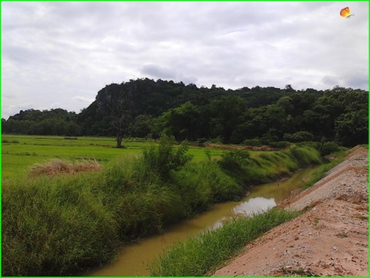 ขาย..ที่ดินที่อุทัยธานี42ไร่กว่าๆ..ติดถนนใหญ่