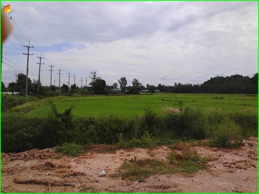 ขาย..ที่ดินที่อุทัยธานี42ไร่กว่าๆ..ติดถนนใหญ่