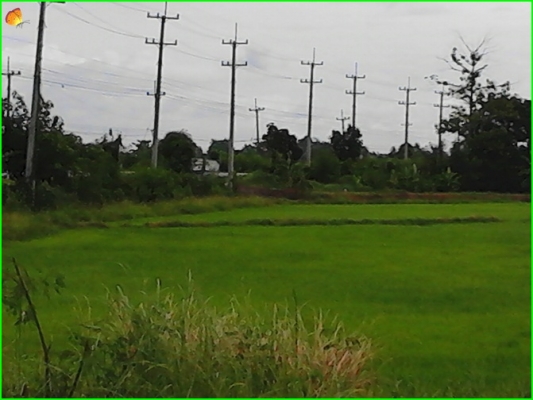 ขาย..ที่ดินที่อุทัยธานี42ไร่กว่าๆ..ติดถนนใหญ่