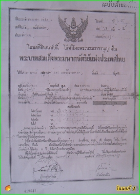 ขาย..ที่ดินที่อุทัยธานี42ไร่กว่าๆ..ติดถนนใหญ่