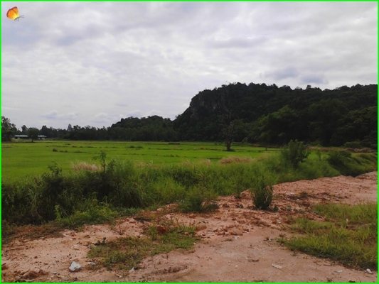 ขาย..ที่ดินที่อุทัยธานี42ไร่กว่าๆ..ติดถนนใหญ่