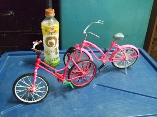 ขายจักรยานจิ๋วๆ