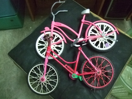 ขายจักรยานจิ๋วๆ