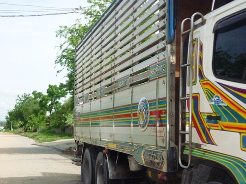 ขายแผงมิเนียมสวยๆ ขายแผงมิเนียมสวยๆ