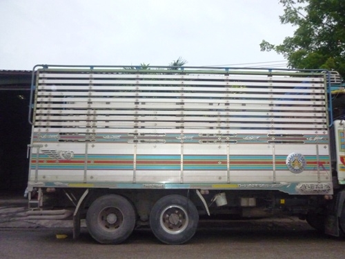 ขายแผงมิเนียมสวยๆ ขายแผงมิเนียมสวยๆ