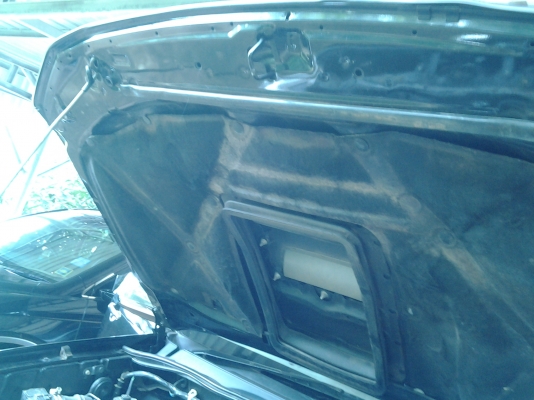 TOYOTA VIGO PRERUNER 3.O ปี51 4ประตู วิ่งน้อย เคลมสีอู่ประกันมา คานหน้าหายจร้า แต่รถถือว่าสวย TOYOTA VIGO PRERUNER 3.O ปี51 4ประตู วิ่งน้อย เคลมสีอู่ประกันมา คานหน้าหายจร้า แต่รถถือว่าสวย