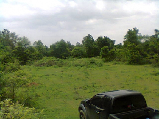 ขายที่ดินเปล่า 20ไร่2งาน85วา อยู่ต.สระพังอ.เขาย้อย จ.เพชรบุรี ไร่ละ250,000