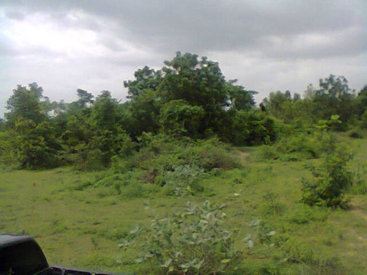 ขายที่ดินเปล่า 20ไร่2งาน85วา อยู่ต.สระพังอ.เขาย้อย จ.เพชรบุรี ไร่ละ250,000