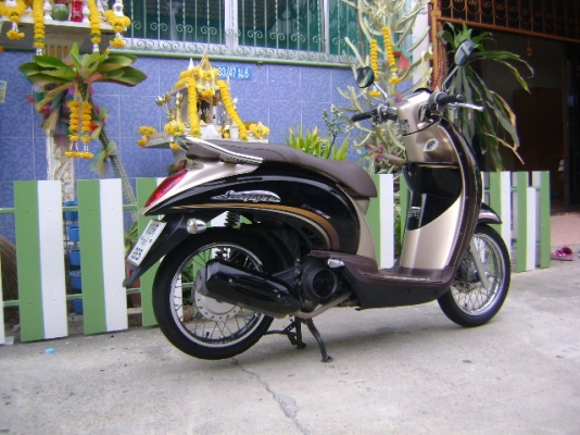 Honda Scoopy I รถปี53 รถบ้านเดิมๆ พร้อมใช้งาน