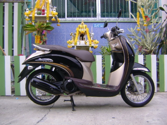 Honda Scoopy I รถปี53 รถบ้านเดิมๆ พร้อมใช้งาน