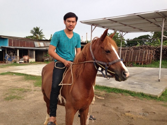 ขายหกล้อดั้ม NPR 120 รถห้างไทยเอกสานพร้อมโอน ยางใหม่ 6 เส้น ประกันวิริยะ เพิ่งทำครับ