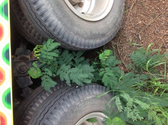 ขายลูกพ่วง3คานแท้ๆ7.60ม ต่อปี56 อู่โชคเจริญทรัพย์ ระเบาะไผ่