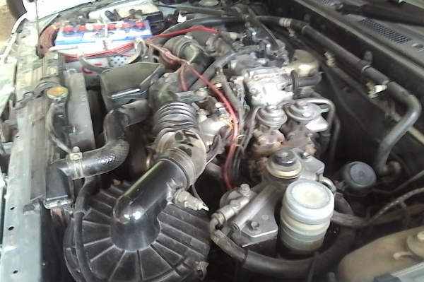 ขาย Dragon สภาพนางฟ้า 25xxxx ขาย Dragon สภาพนางฟ้า 25xxxx