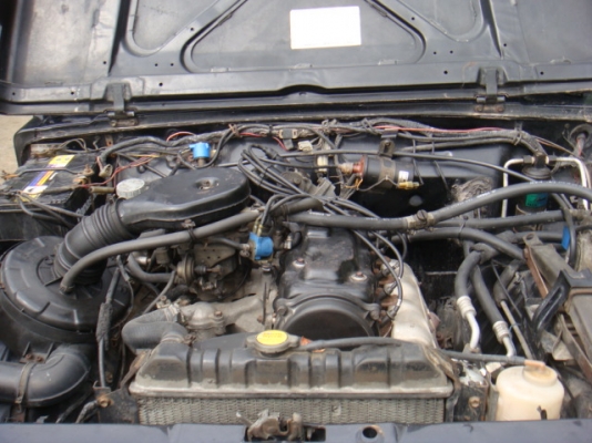 ขายแล้ว