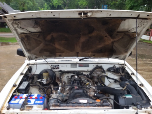 ไมตี้แคป เดิมๆ ถูกสุดๆ 89000มาก่อนได้ก้่อน ไมตี้แคป เดิมๆ ถูกสุดๆ 89000มาก่อนได้ก้่อน