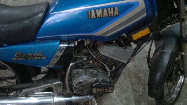 คอนคอด 135