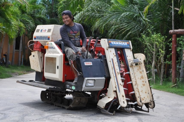 รายละเอียด ขายรถเกี่ยว นวดข้าว yanmar ดีเซล3สูบ สวยเดิมจากญี่ปุ่น 38,000เท่านั้น