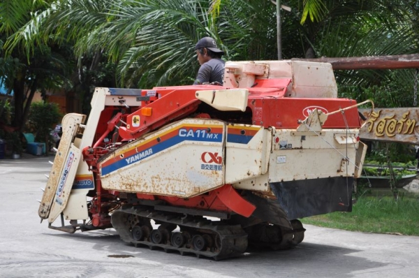 รายละเอียด ขายรถเกี่ยว นวดข้าว yanmar ดีเซล3สูบ สวยเดิมจากญี่ปุ่น 38,000เท่านั้น