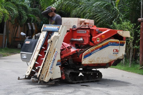 รายละเอียด ขายรถเกี่ยว นวดข้าว yanmar ดีเซล3สูบ สวยเดิมจากญี่ปุ่น 38,000เท่านั้น