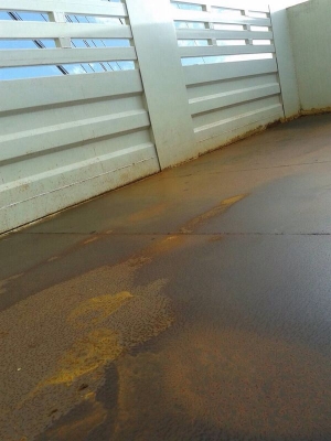 รถมิตซู 10 ล้อดั้ม FN527M - TD 191 แรงม้า. ปี 37.  สนใจติดต่อ  081 - 6079515