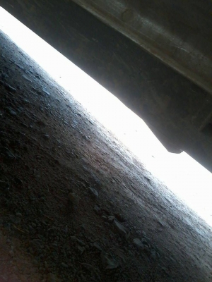 ขายด่วน ขายด่วน