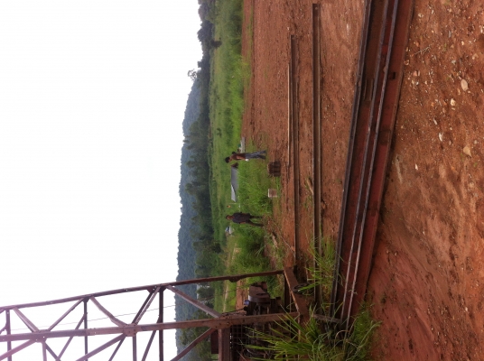 ขายปั้นจั่น