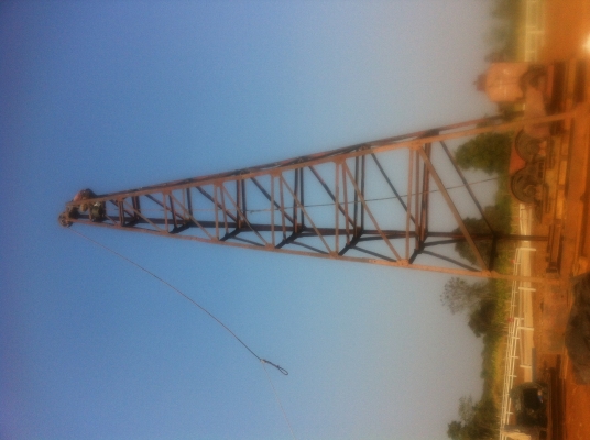 ขายปั้นจั่น