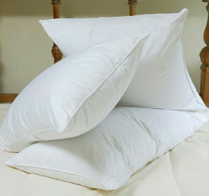 หมอนขนเป็ดจากนอก นำเข้ามาเอง ราคาจับต้องได้