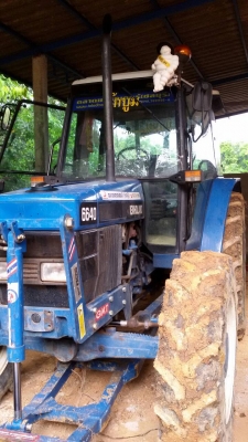 ขายดาวน์ รถไถนา FORD6640-2เพลามีตู้เก๋งมีผาน7+ดันหน้า