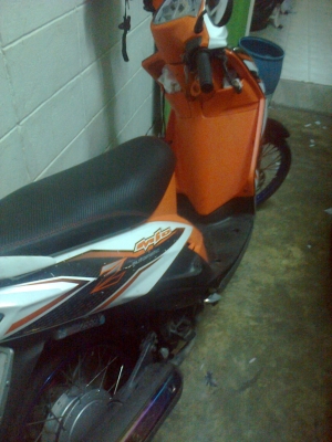 มีโอสองตาแท้ปี52