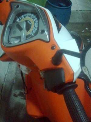 มีโอสองตาแท้ปี52