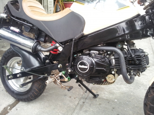 ขาย STALLIONS SORO RETRO 125 รถเดิมๆ สวยๆ วิ่ง 1 พันโล ส่งได้ทั่วไทย ขาย STALLIONS SORO RETRO 125 รถเดิมๆ สวยๆ วิ่ง 1 พันโล ส่งได้ทั่วไทย