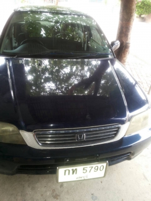Honda city Honda city