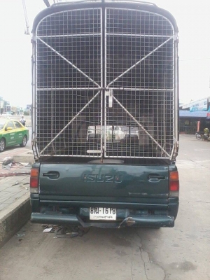 TFR IZUSU TFR ปี 1996 ตอนเดียว TFR IZUSU TFR ปี 1996 ตอนเดียว